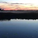 Near Amsterdam, The Hague, Leiden And North Sea Holiday home
