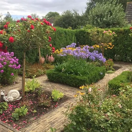 Near Amsterdam, The Hague, Leiden And North Sea