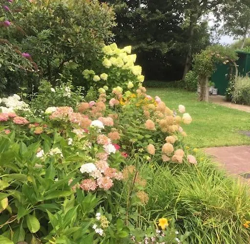 Near Amsterdam, The Hague, Leiden And North Sea * Warmond