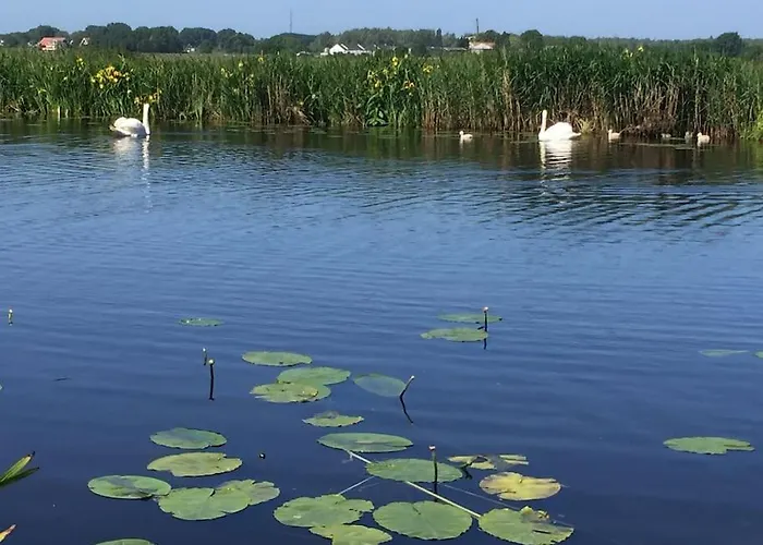 Near Amsterdam, The Hague, Leiden And North Sea *